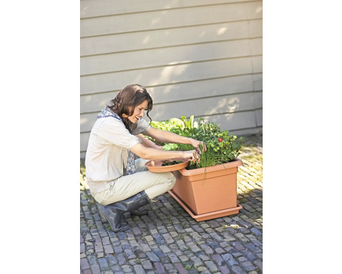 Vrouw oogst groenten uit een rechthoekige plantenbak met schotel