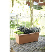 Plantenbak met sla, basilicum en salie in de tuin
