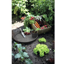 Tuinscene met geoogste groenten in houten kist en plantenschaal met tuingereedschap.