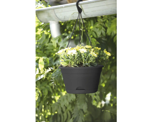 Hangpot met gele bloemen, bevestigd aan een dakgoot
