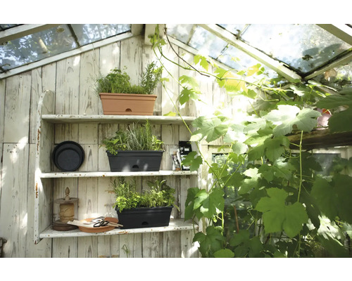 Kasinterieur met planken en beplante plantenbakken