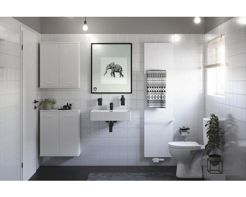 Moderne badkamer met wit meubilair, wastafel, toilet en decoratie