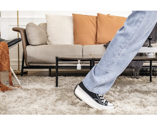 Scene van een woonkamer met vloerkleed, bank, tafel en persoon