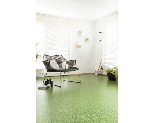Woonkamer met groene vloerbedekking, stoel en surfplank