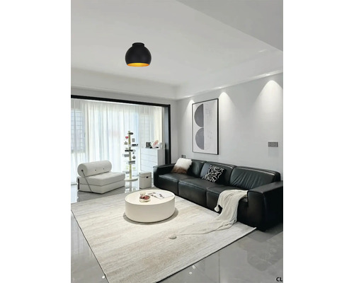 Woonkamer met bank, vloerkleed, salontafel en plafondlamp