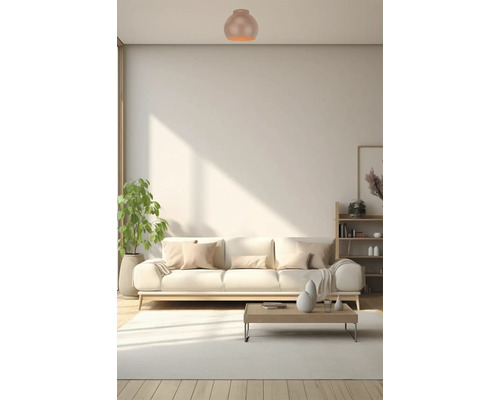 Woonkamer met plafondlamp, bank, tafel en plank