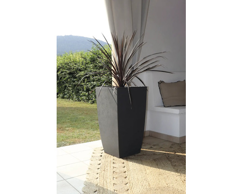 Hoge betonnen plantenbak met plant buitenshuis