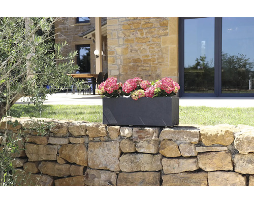Rechthoekige stenen plantenbak met roze hortensia''s op een stenen muur in de tuin.