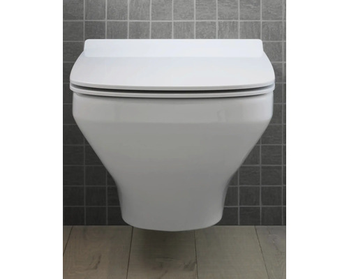 Wandhangend toilet van keramiek met deksel