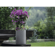 GELI Bloempot Rondo Kunststof antraciet Ø 29 cm H 40 cm