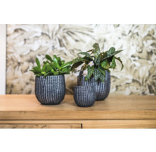 Bloempot Feico Cement zwart Ø 6 cm H 8 cm