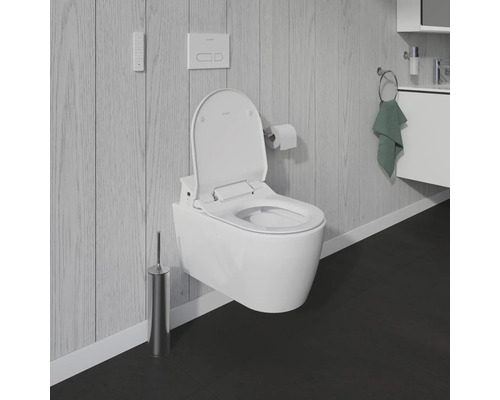 Scene van een badkamer met een wandcloset met douchefunctie, een afstandsbediening, een bedieningspaneel, een toiletpapierhouder, een toiletborstel en een wastafel