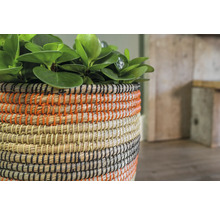 Decoratieve bloempot van gevlochten materiaal met plant