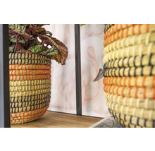 Close-up van twee gevlochten plantenbakken met plant op een plank.