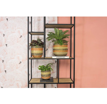 Decoratieve rek met drie kamerplanten in gevlochten potten op houten planken