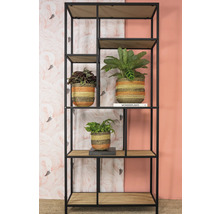 Kast met planten in gevlochten potten en decoratie op houten planken.