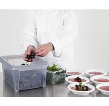 SmartStore Dry 45 opbergbox 50 liter grijs