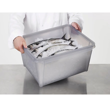 SmartStore Dry 45 opbergbox 50 liter grijs