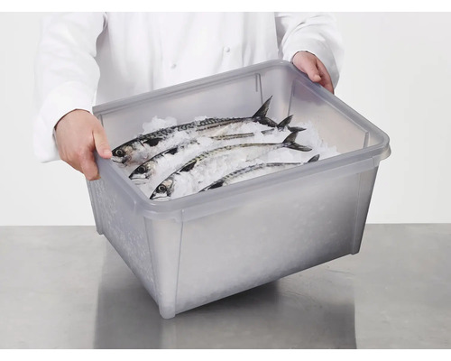 Man in witte jas houdt een grijze kunststof bak met makreel op ijs vast.