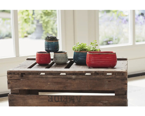 Een opstelling van keramische bloempotten op een houten kist.