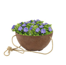 Klokjesbloemen in hangende plantenbak