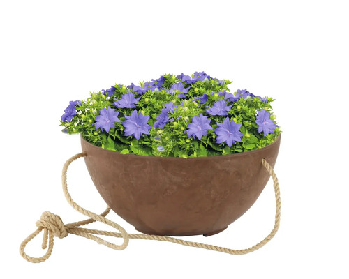 Klokjesbloemen in hangende plantenbak