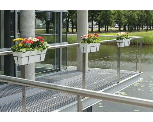 Drie bloembakken met kleurrijke gerbera''s zijn bevestigd aan een reling naast een vijver.