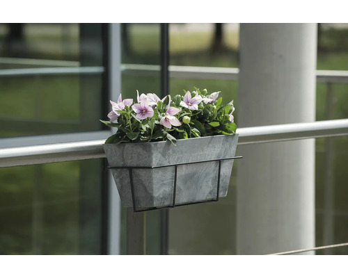 Bloembak met paarse bloemen op balkonreling