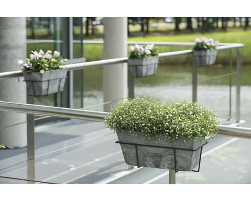 Balkonscène met reling en hangende plantenbakken met bloemen