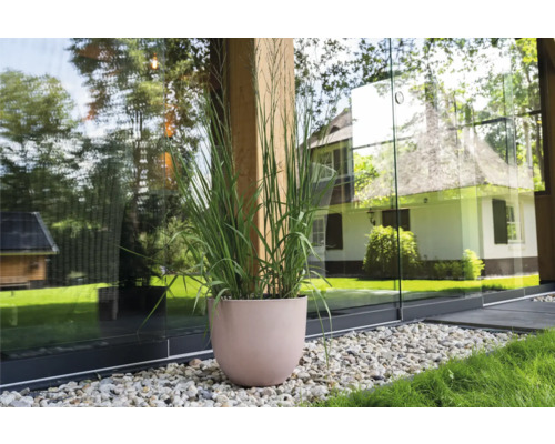 Decoratieve plant in pot op een grindvloer voor een modern gebouw met glazen gevel.