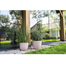 Twee plantenbakken met planten voor een glazen gevel en grind
