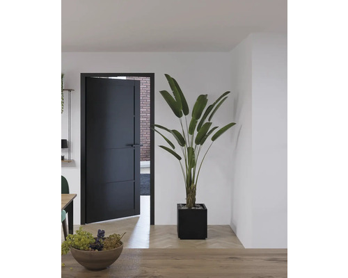 Interieur shot met open binnendeur, kamerplant en tafel