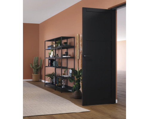 Woonkamer met zwarte binnendeur, rek en decoratie