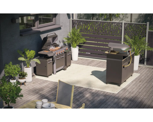 Buitenruimte met barbecue, pizzaoven, planten en privacyscherm