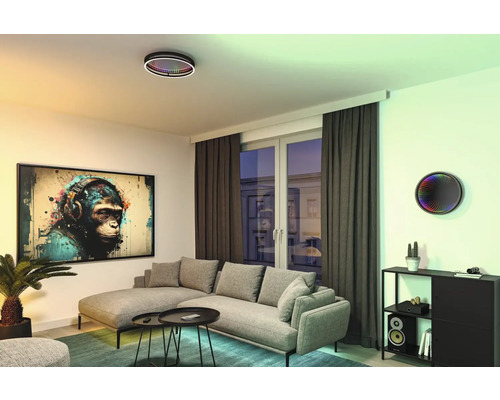 Woonkamer met grijze bank, salontafel, kamerplant, plafondlamp en muurschildering