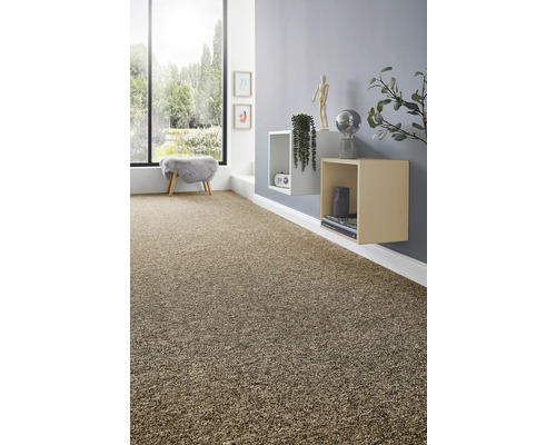 Woonkamer met tapijt, planken en raam