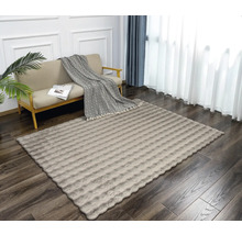 Woonkamer met bank en rechthoekig vloerkleed