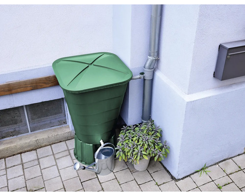 Regenton naast regenpijp met gieter en potplant