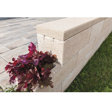 Muur van betonstenen met plant