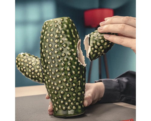 Decoratieve cactus van keramiek met afgebroken stuk