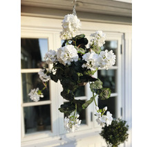 Hangplant met witte bloemen voor een raam