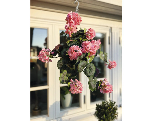 Hangende geranium met haak voor een raam
