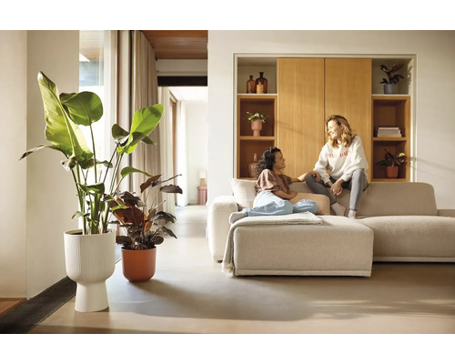 Woonkamer met bank, kamerplanten en twee vrouwen in gesprek.