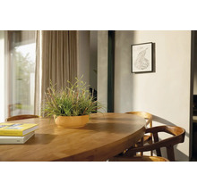 Eetkamerscène met houten tafel, stoelen en potplant