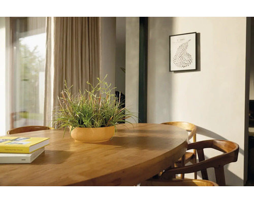 Eetkamerscène met houten tafel, stoelen en potplant