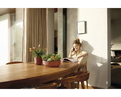 Lichte interieurinrichting met houten tafel en beplante bloempotten