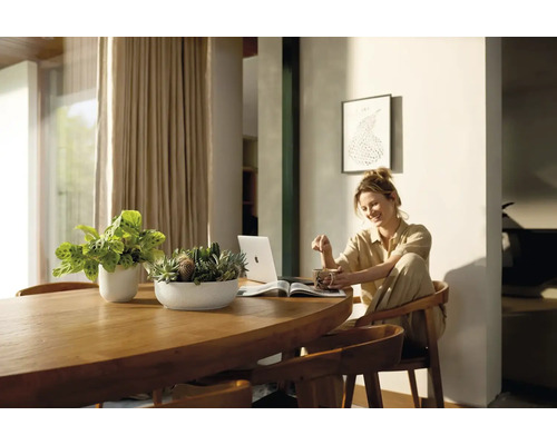 Lichte woning met houten tafel, kamerplanten, vrouw met laptop en drankje