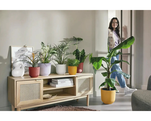 Woonkamer met houten kast, verschillende planten in plantenbakken en een vrouw op de achtergrond