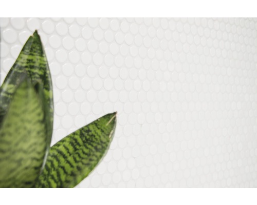 Muur met ronde tegels en plant