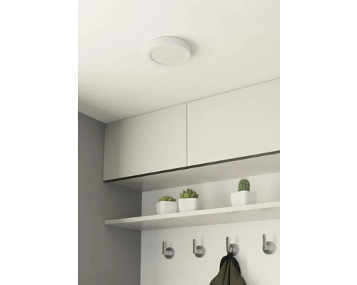 Kamer met plafondlamp, kasten, plank en kapstok